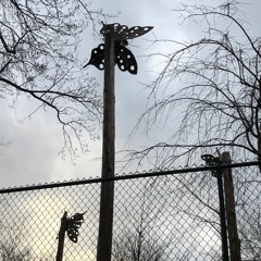 Crazy Fucker (Elliott Smith)