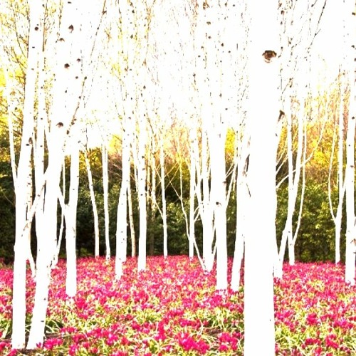 it just keeps getting worse