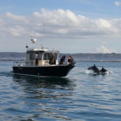 Les Sentinelles de la Mer Normandie : rencontre