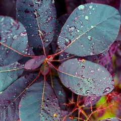 Whistleface (Tech) House Mix - 5/20/2021