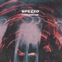 Spezzo - Promise Me [CMMO RCDRS]
