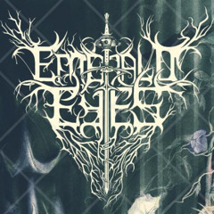 swan demo 12.25.2025