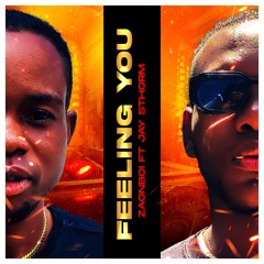 Feeling you (feat. Jay Sthorm)