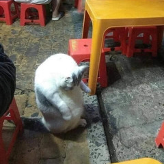 buồn thôi đừng buồn quá