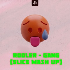 Rooler & Sickmode Gang (Slice Mash Up)