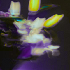 HORS-SOL : Forest - 24 Novembre 2025