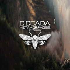 Ciccada Metamorphosis 002 by Fabulous