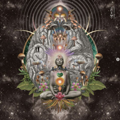 Liquid MoonTime Journey - Live by Sêlva