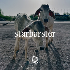 Fontaines D.C. Starburster (King Kong Kicks Remix)