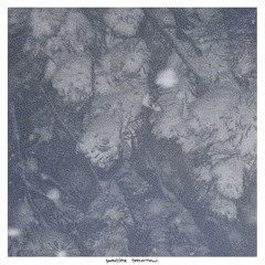 start stop and end in the same