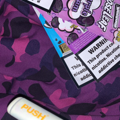 stiingyy x sheluhm kick starter🐾