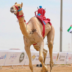 ذرب الافعال 🥇
