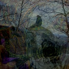 P-Speak 4 channel 20