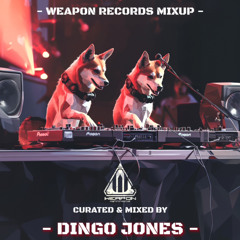 DINGO-JONES [W.R-MIXUP 2025]