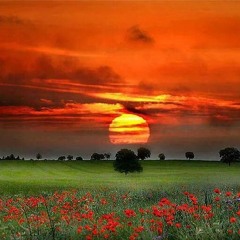 Sweet Serenity