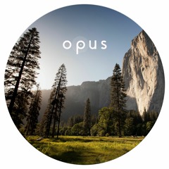 Asymmetric Rhythm [OPUS011]
