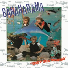 bananarama – the greatest hits collection d100616 bananarama – the greatest hits collection d100616