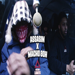 Assasin x Macho 8OH - Hazard Lights