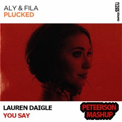 Aly & Fila Vs. Lauren Daigle - You Say Plucked (Peteerson Mashup)