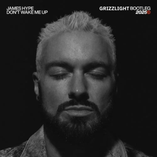 james hype - dont wake me up grizzlight remix