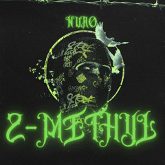 2-METHYL (SINGLE 2)