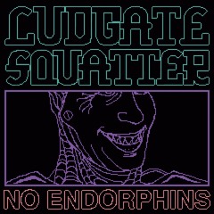 PREMIERE • Ludgate Squatter - Indecisive [Body Musick]