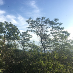 E, evidentemente - 1 Timóteo 3:16 | PS, SF