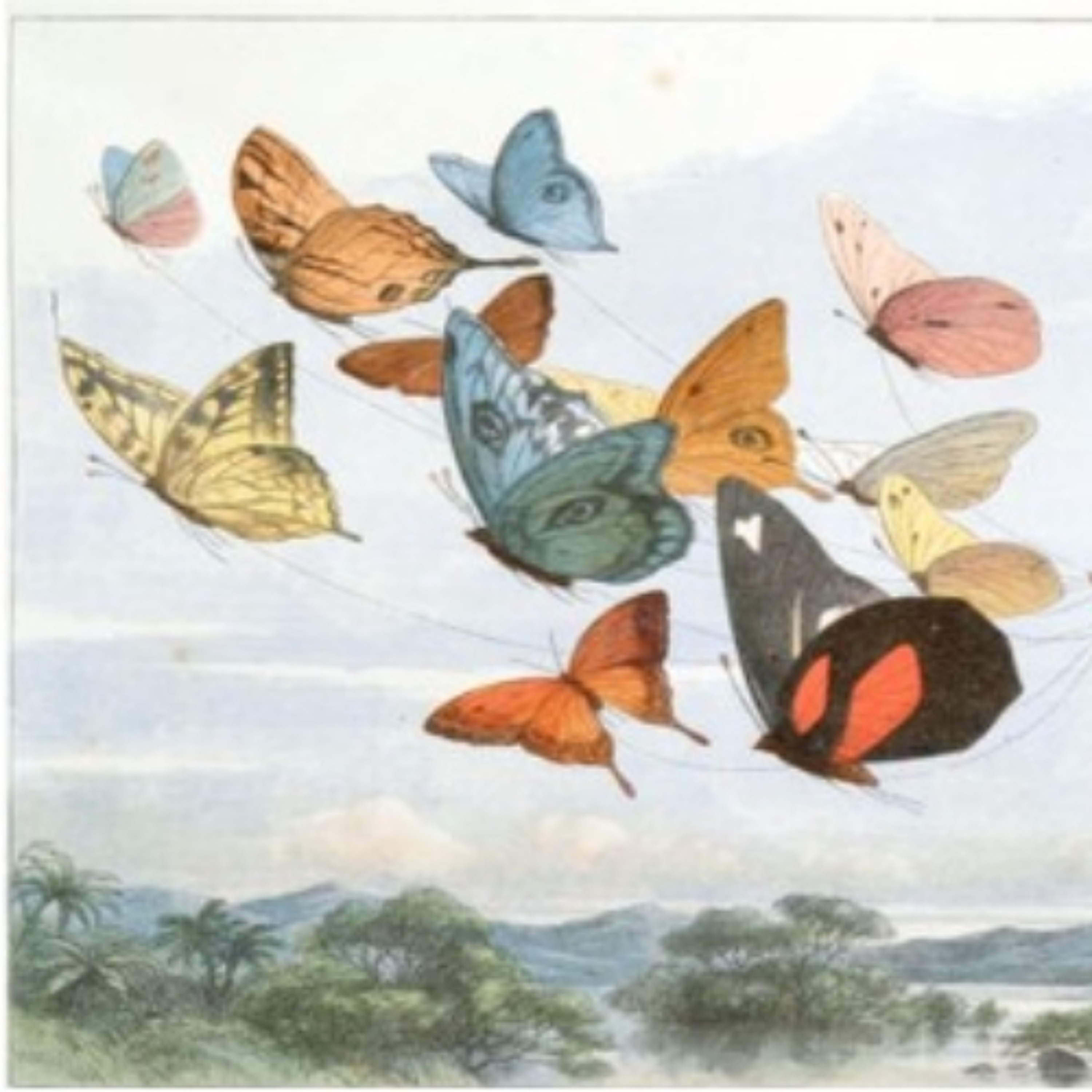 Trinity Long Room Hub Podcasts