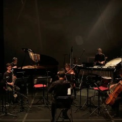 Giardini di risonanza, for ensemble (2021-22)