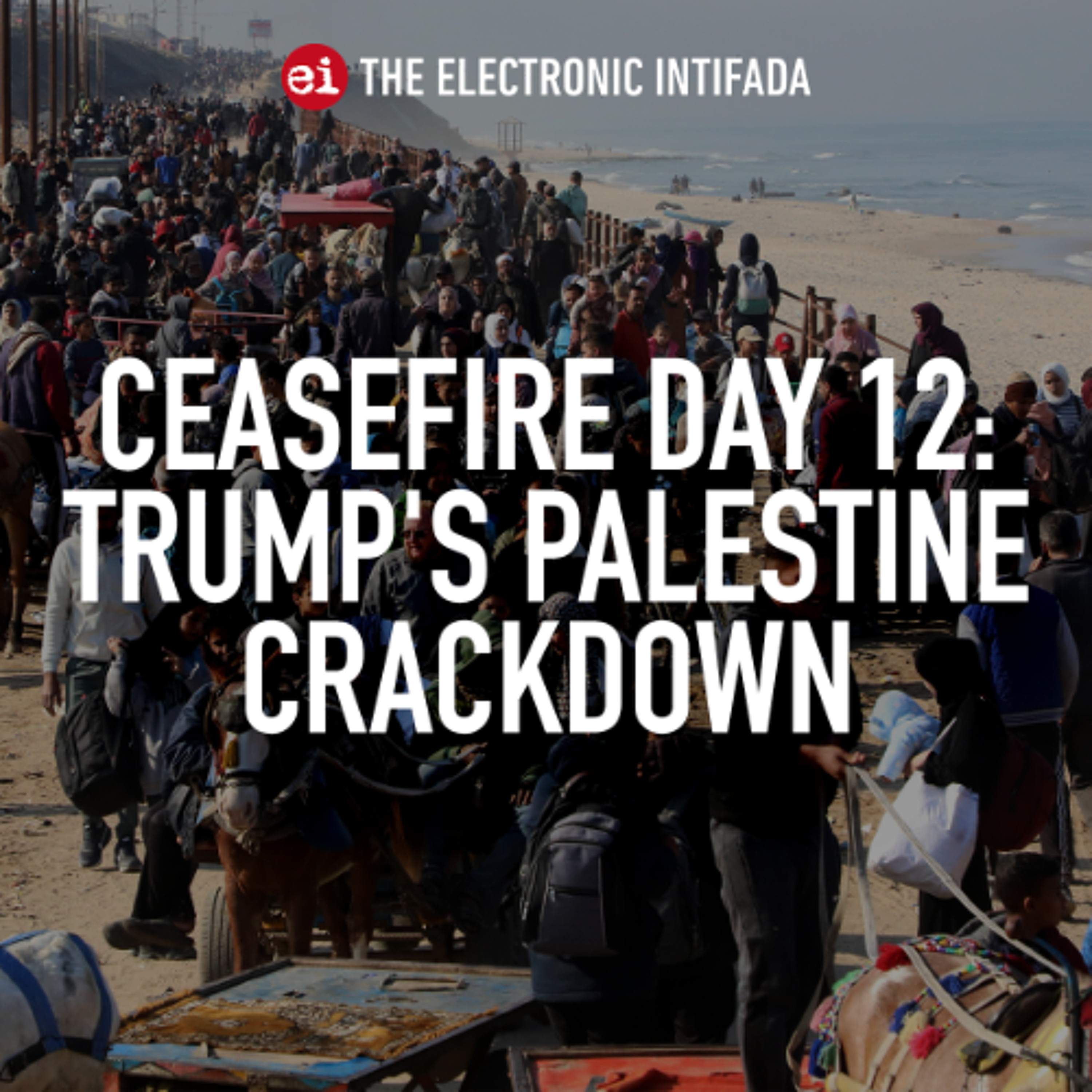 Ceasefire Day 12: Trump's Palestine crackdown