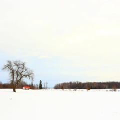 화분 (다린 Cover)