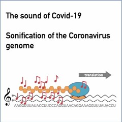 Covid-19 Translation polyprotein