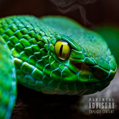 Viper