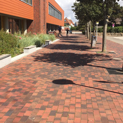 Dont you wanna wake up