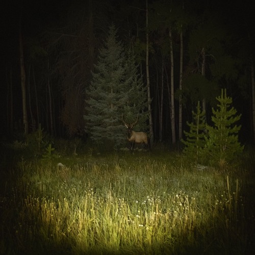 Internal War - 130 Bpm