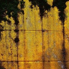 big score (watch out there's a really loud note)