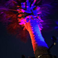 so nice so smart cover - molly