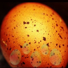 The Eggs
