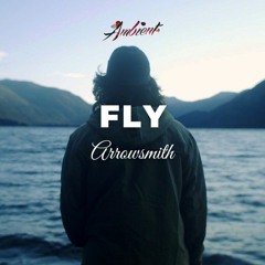 Arrowsmith - Fly