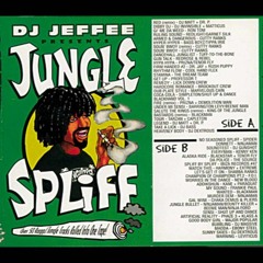 DJ Jeffee  Jungle Spliff Side A 1994
