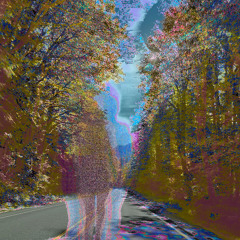 In reflection