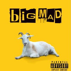 OG Wavii X Shawty Smurf -Big Mad