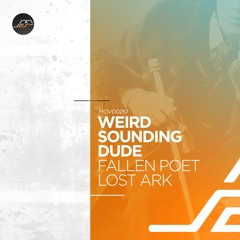 Premiere: Weird Sounding Dude - Lost Ark [Movement Recordings]