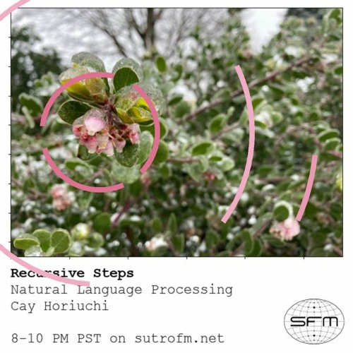 Recursive Steps ft Cay Horiuchi - Sutro FM March 2021