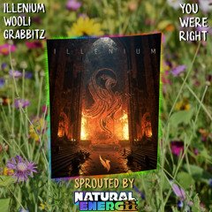 Illenium, Wooli, Grabbitz - You Were Right (Sprouted by Natural Energii)