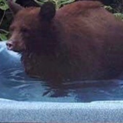 PETTY WALKER LIVE @SHARKTANK