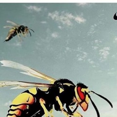 Rubbing Off The Stains