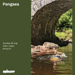 Pangaea - 08 August 2021