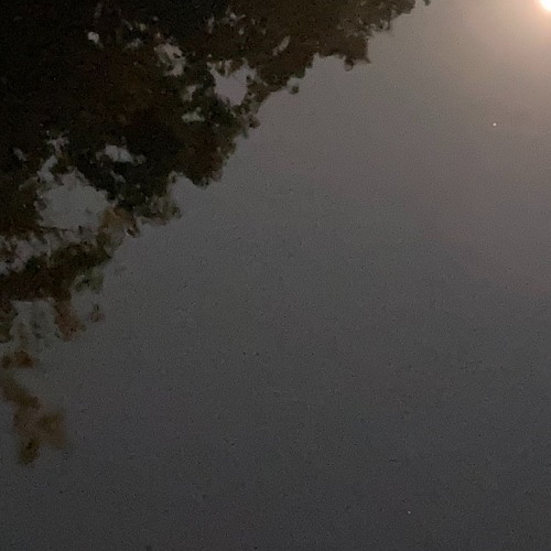 Reflections in a Tearful Eye w/ Mirror by Indi Wild Moon