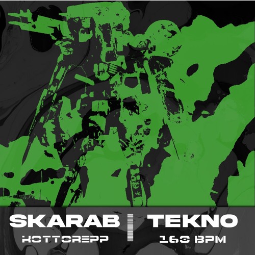 KOTTOREPP - Skarab